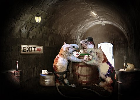 Free Rats Playing Card illustration and picture