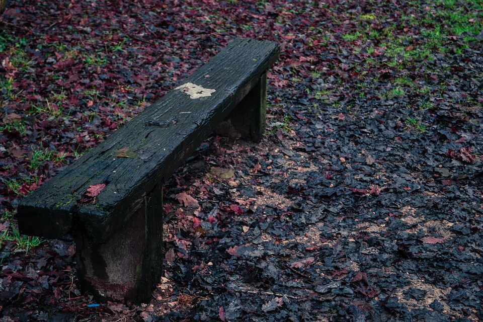 Bench Path Tree - Free photo on Pixabay - Pixabay