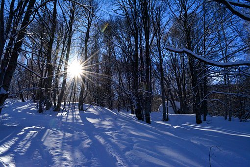 Invierno, Naturaleza, Montaña