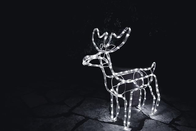 Free Raindeer Animal photo and picture
