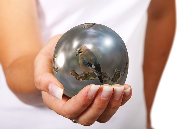 Download free HD stock image of Hand Woman Free hand woman bird illustration