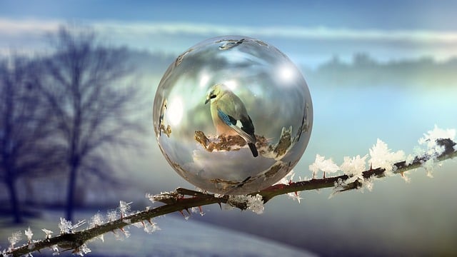Free winter soap bubble abstract illustration