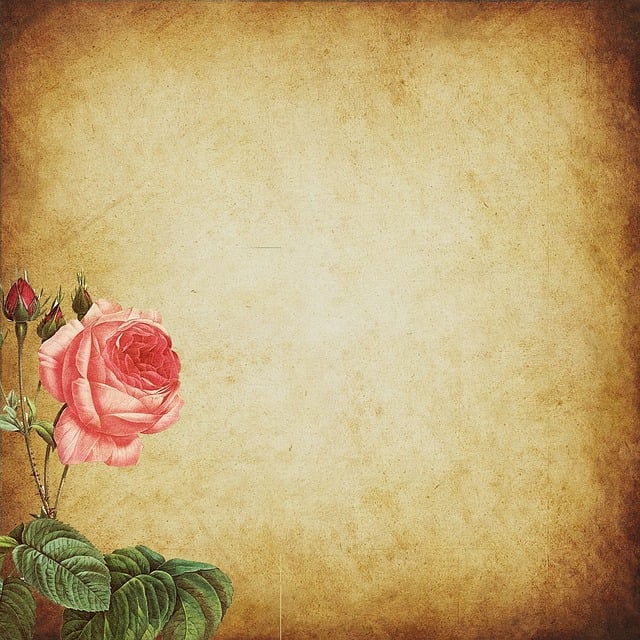 Free background scrapbooking floral background illustration