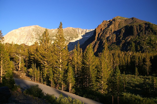 Free California Yosemite photo and picture