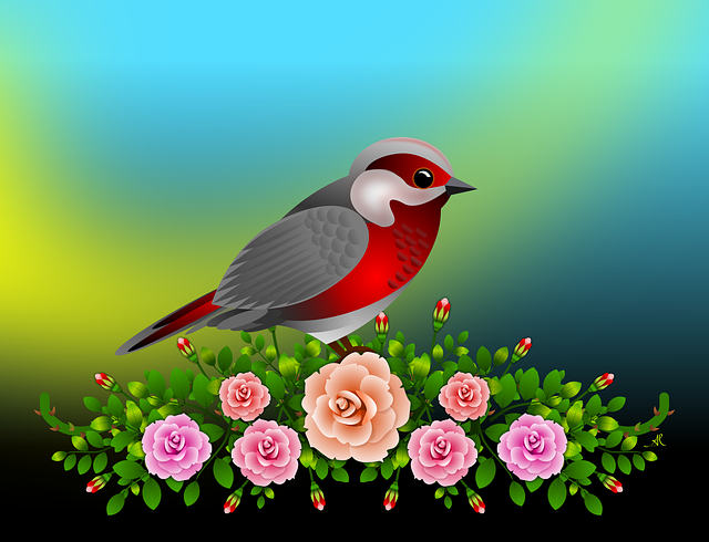 Blumen, Rosen, Garten, Natur, Feder
