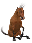 horse, toon, funny