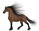 horse, brown, mane