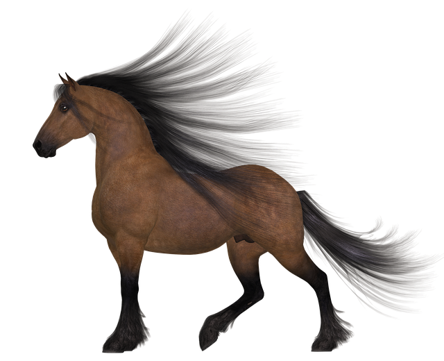 Download free HD stock image of Horse Brown Free horse brown mane illustration