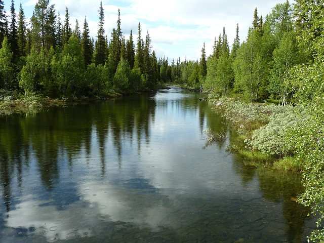 Landschap, Natuur, Stromen, Scandinavië