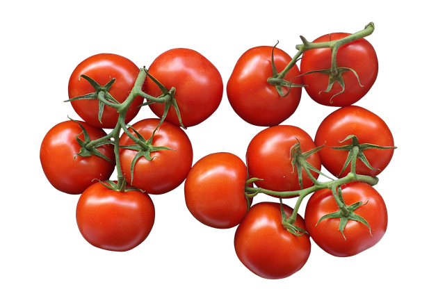 Free tomatoes vine tomatoes packaging illustration