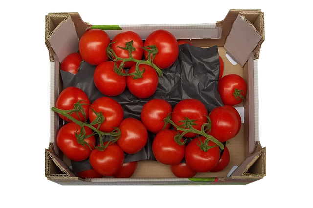 Free tomatoes vine tomatoes box illustration
