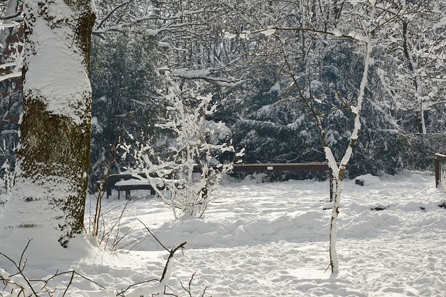 Nieve, Nevado, Paisaje, Naturaleza