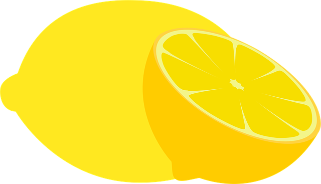 Free lemon citric citrus vector