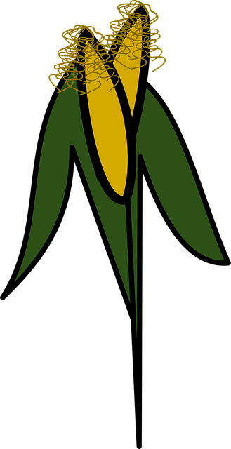 Free icon corn orchard vector