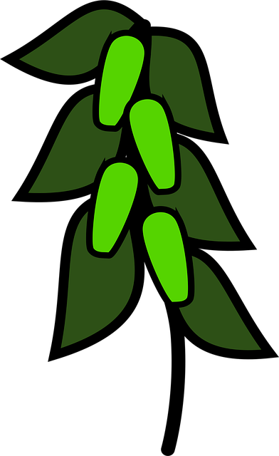 Free icon green peas floors vector