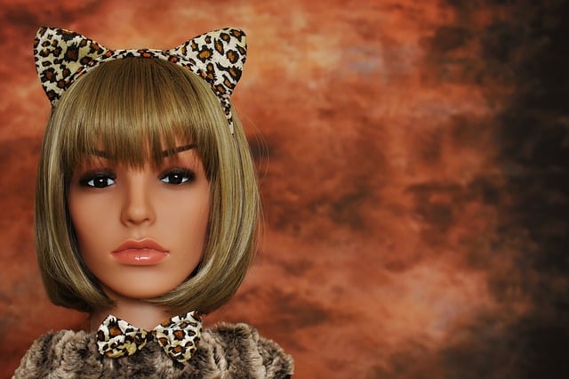 Free carnival leopard ears disguise illustration