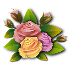 roses, rosarium, flowers