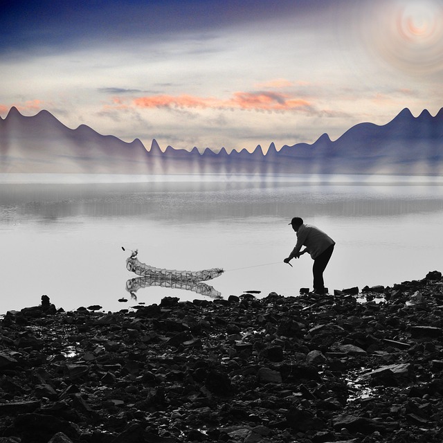 Free Put The Cage Catch Fish photo and picture