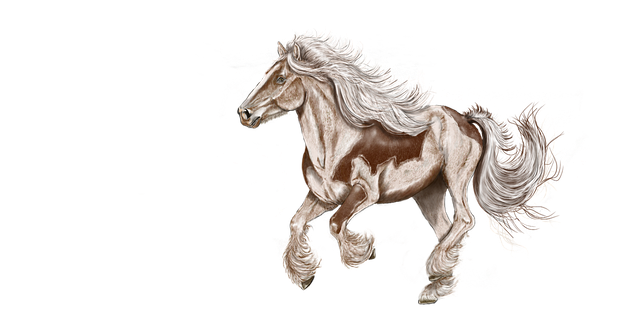 Free digital painting drawing digital drawing illustration
