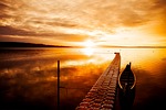 canada, sunset, dusk