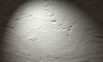 background, texture, material