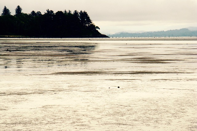 Free Flats Tide photo and picture