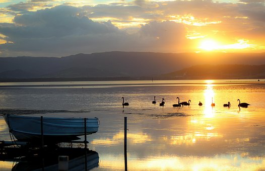 Boat, Lakeillawarra, Swan, Sunset, Relax Top 10 Cities to Live in Australia in 2020