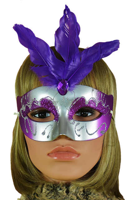 Free face carnival mask illustration