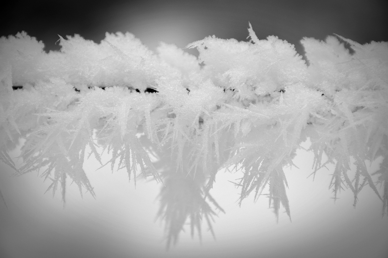 Ice Crystals Winter Fence Free photo on Pixabay Pixabay