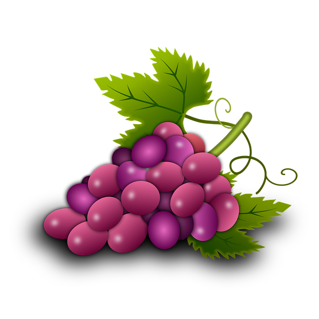 Trauben, Ranke, Kam, Wein, Obstgarten