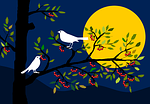 animals, birds, tree