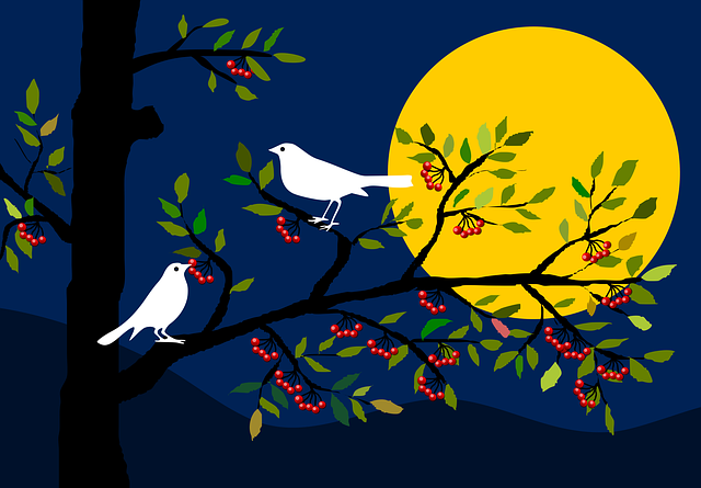Tiere, Vögel, Kleine Vögel, Baum, Beeren