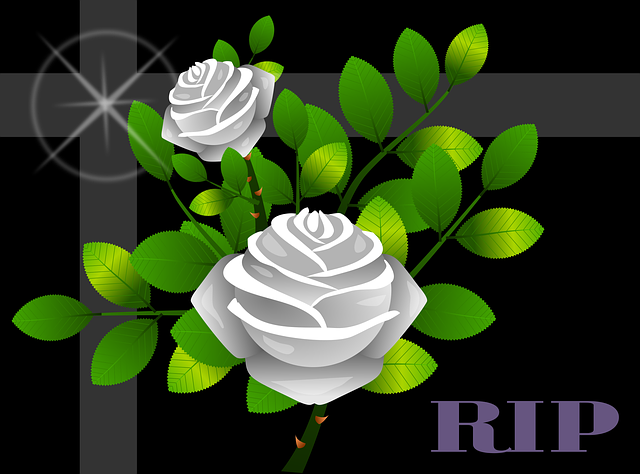 Free roses flowers floral illustration