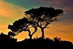 cyprus, cavo greko, national park