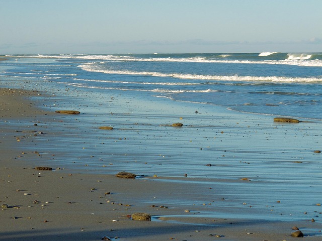 Free Ocean Waves photo and picture