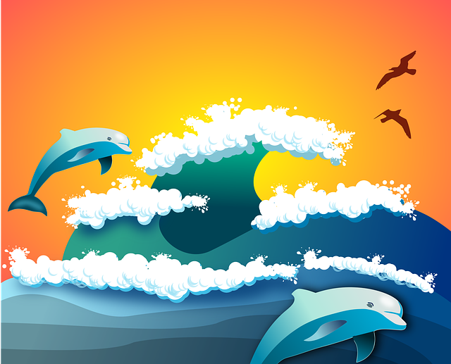 Free dolphins seagulls sea illustration