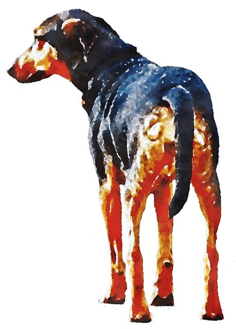 Free Dog Doberman illustration and picture