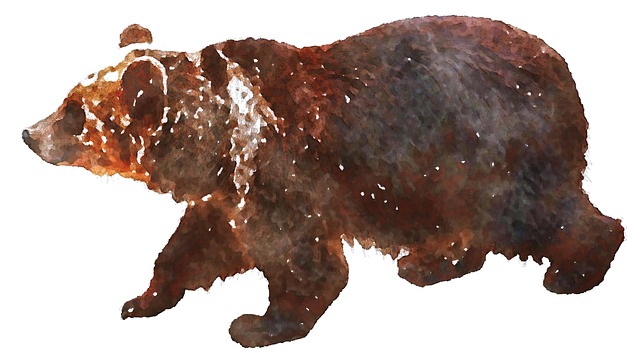 Free Bear Savage Beast illustration and picture