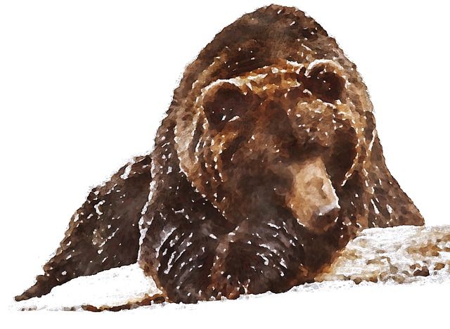 Free Bear Savage Beast illustration and picture
