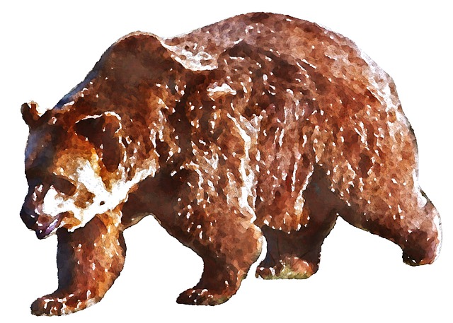 Free Bear Savage Beast illustration and picture