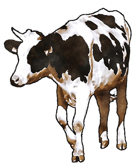 Free Cow Dairy Cow illustration and picture