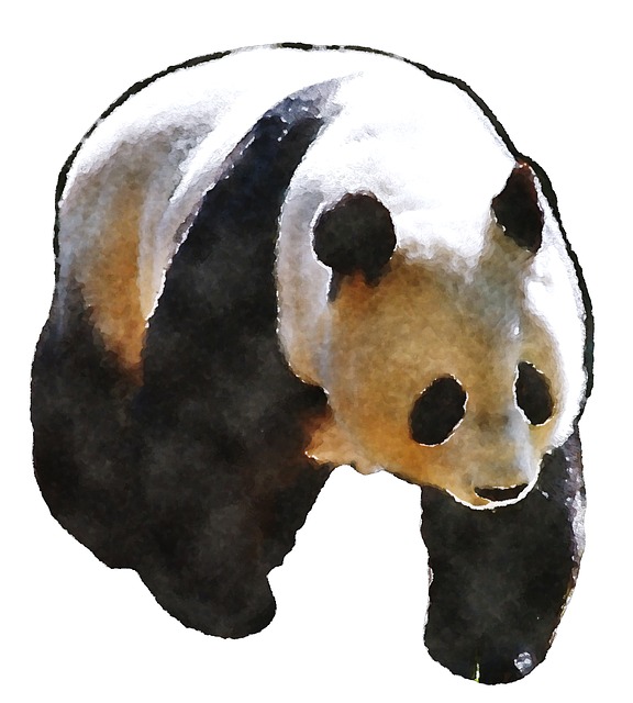 Free Panda Watercolor illustration and picture