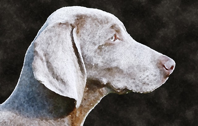 Free dog animal watercolor illustration