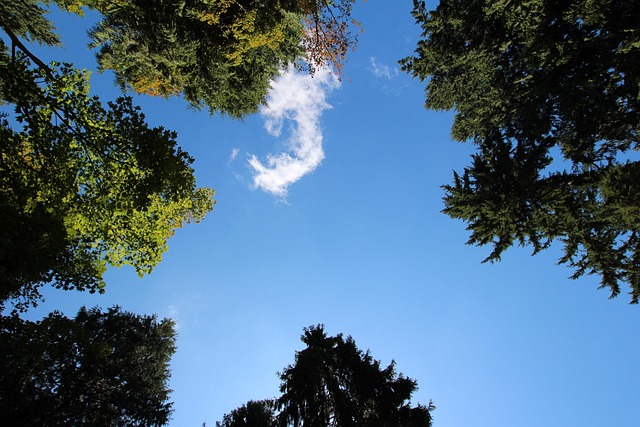Free Sky Cloud photo and picture