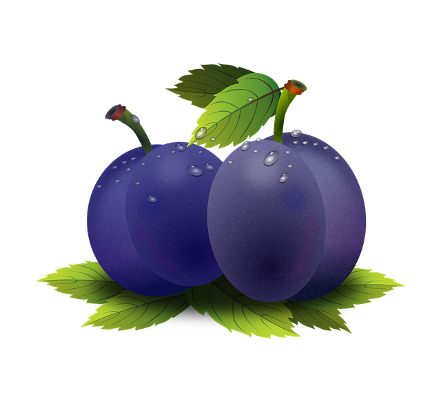 Free plum fruit fruits illustration