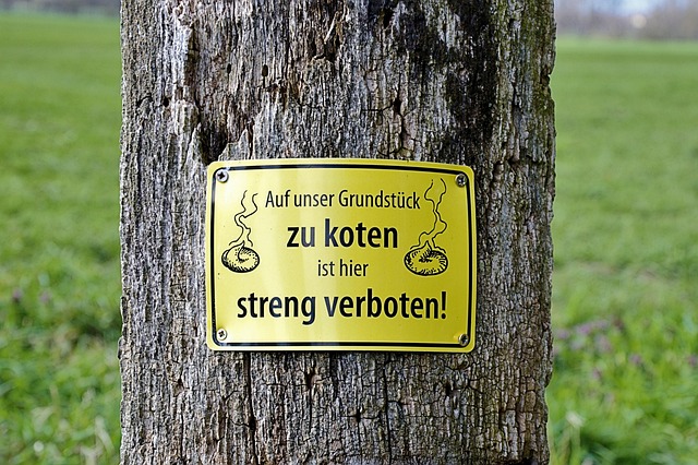 Free Tree Sign photo and picture