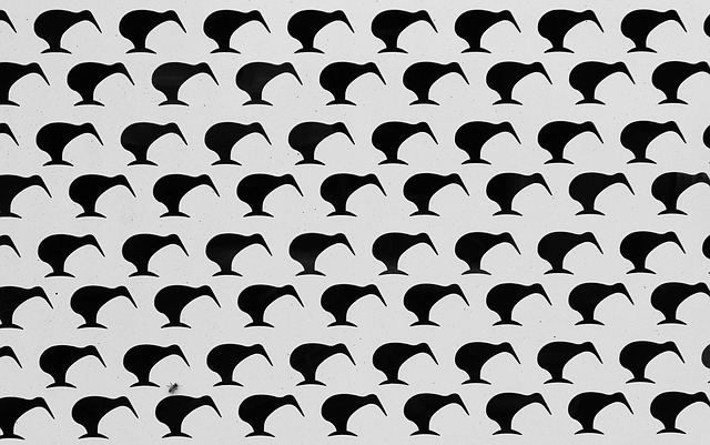 Free kiwi nature pattern illustration