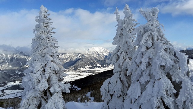 Alpen, Berge, Österreich, Land, Schnee