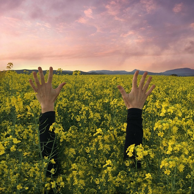 Free Hands Sunset photo and picture