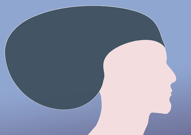 Free think head silhouette illustration